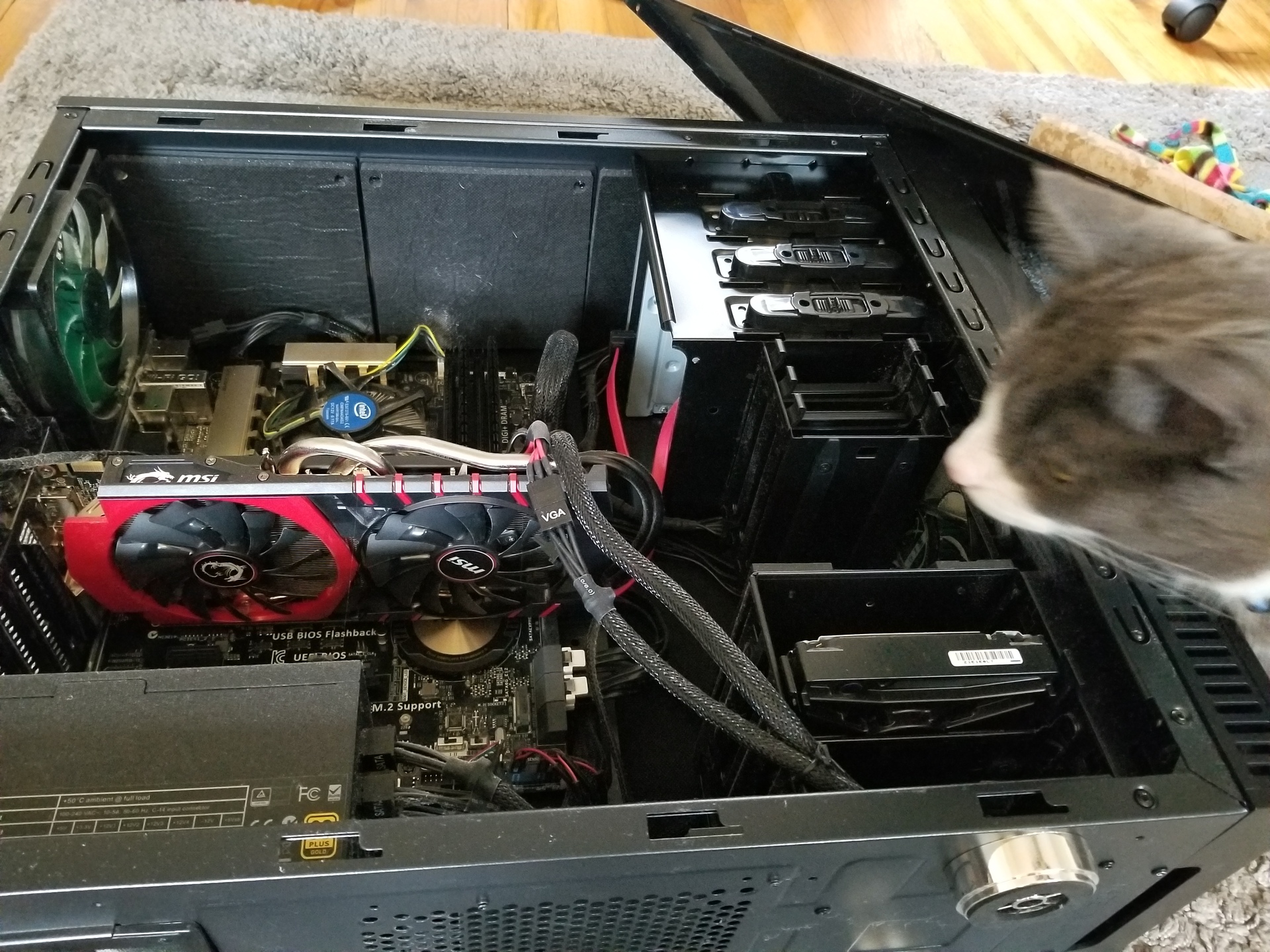 Opening up the ol’ desktop to take out the ol’ 970. The cat helped, of course.