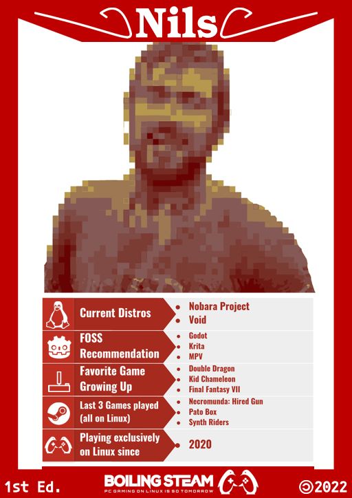 Nils character sheet