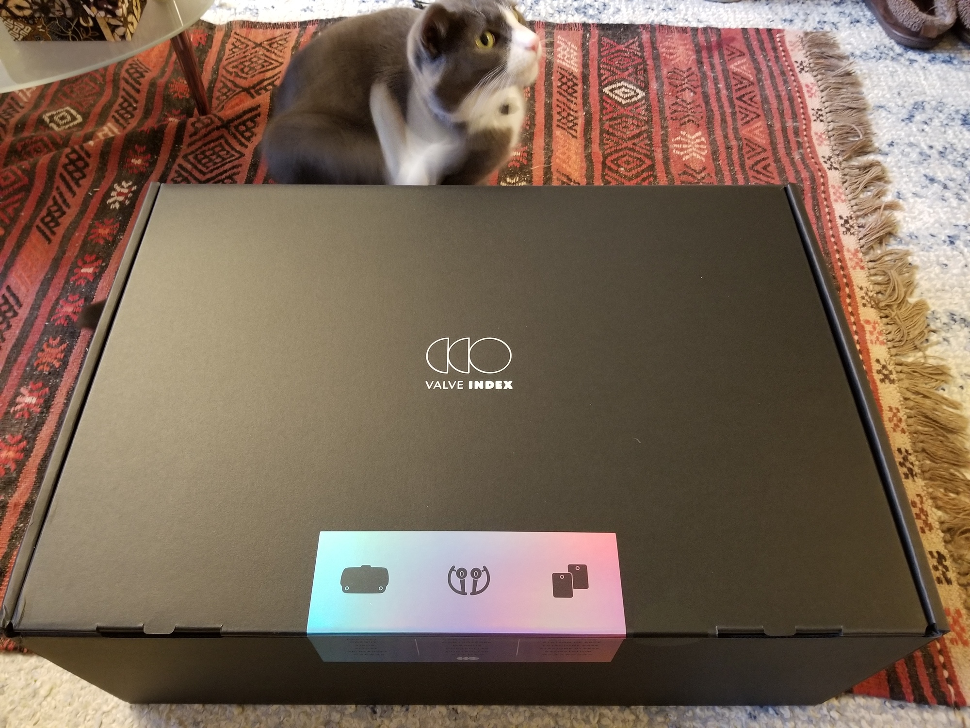 With a cat (in mid-scratch) for scale, you can see the heft of the Valve Index VR Kit box.